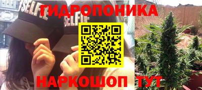 Альфа ПВП Кингисепп