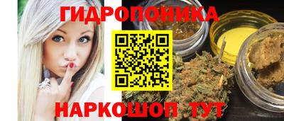 Альфа ПВП Кингисепп