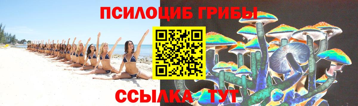 Галлюциногенные грибы прущие грибы  Галлюциногенные грибы мухоморы  Вход с VPN  Крымск 