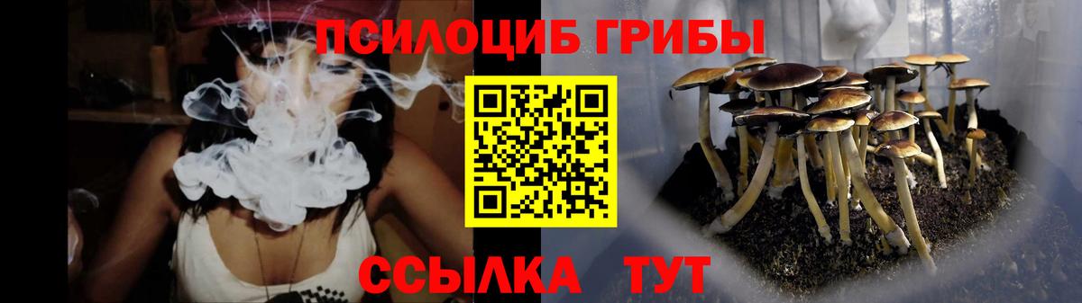 Псилоцибиновые грибы прущие грибы Крымск